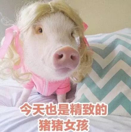 年底聚会相亲有什么好看的小饰品推荐 聚会相亲就靠这些少女心满满的首饰加形象分