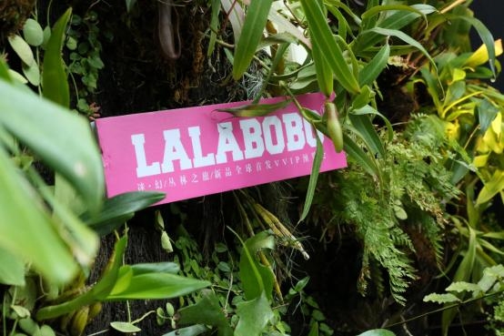 LALABOBO品牌全新升级 自主IP害羞熊引关注