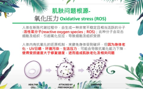 圣斯芬——以健康名义与岁月为敌 