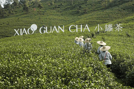 小罐茶再立茶行业传播新标杆：用时尚跨界诠释茶品牌