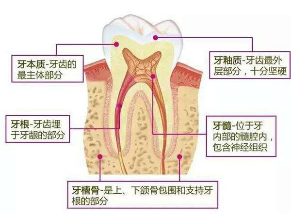 意大利抗敏牙膏品牌贝利达Biorepair：牙敏感患者的福音！