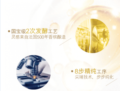 香槟酵母的奥秘丨解救熬夜党的福利 