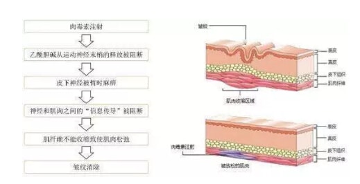 人艰如此，春语让你直面人生笑得出彩