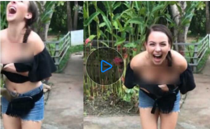 美女游客被猴子扯衣袭胸 导游：猴子太小本能反应【视频】