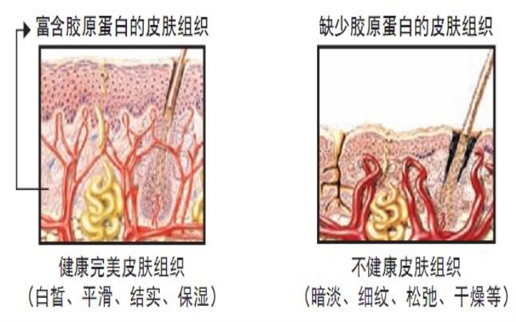 找回年轻的呐喊：抗皱精华哪个好【图】