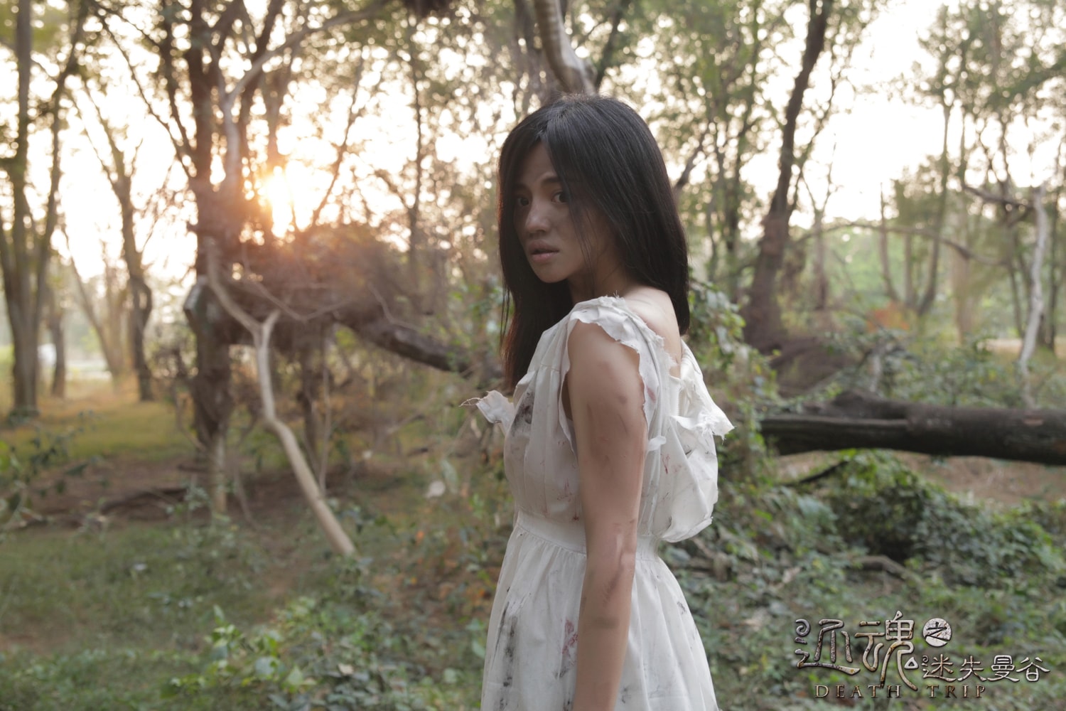 http://www.mshishang.net/pics/default/download/01c732359cb488d4eba052cb487234c1.jpg