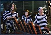http://www.mshishang.net/pics/default/download/0330c4ac25bf7657226968a7697d8ef6.jpg
