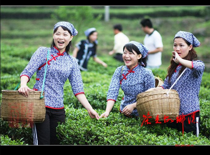 http://www.mshishang.net/pics/default/download/04283010d8f4d3c21584738c3ecf8111.jpg