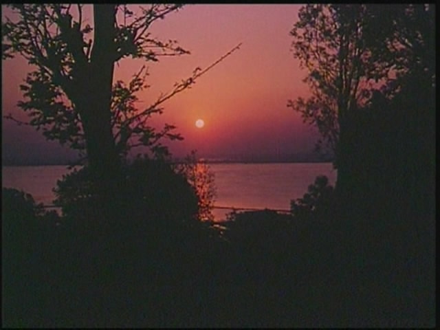 http://www.mshishang.net/pics/default/download/04797e6c12ea15625a843641a6cf79a5.jpg