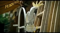 粤语版预告片
