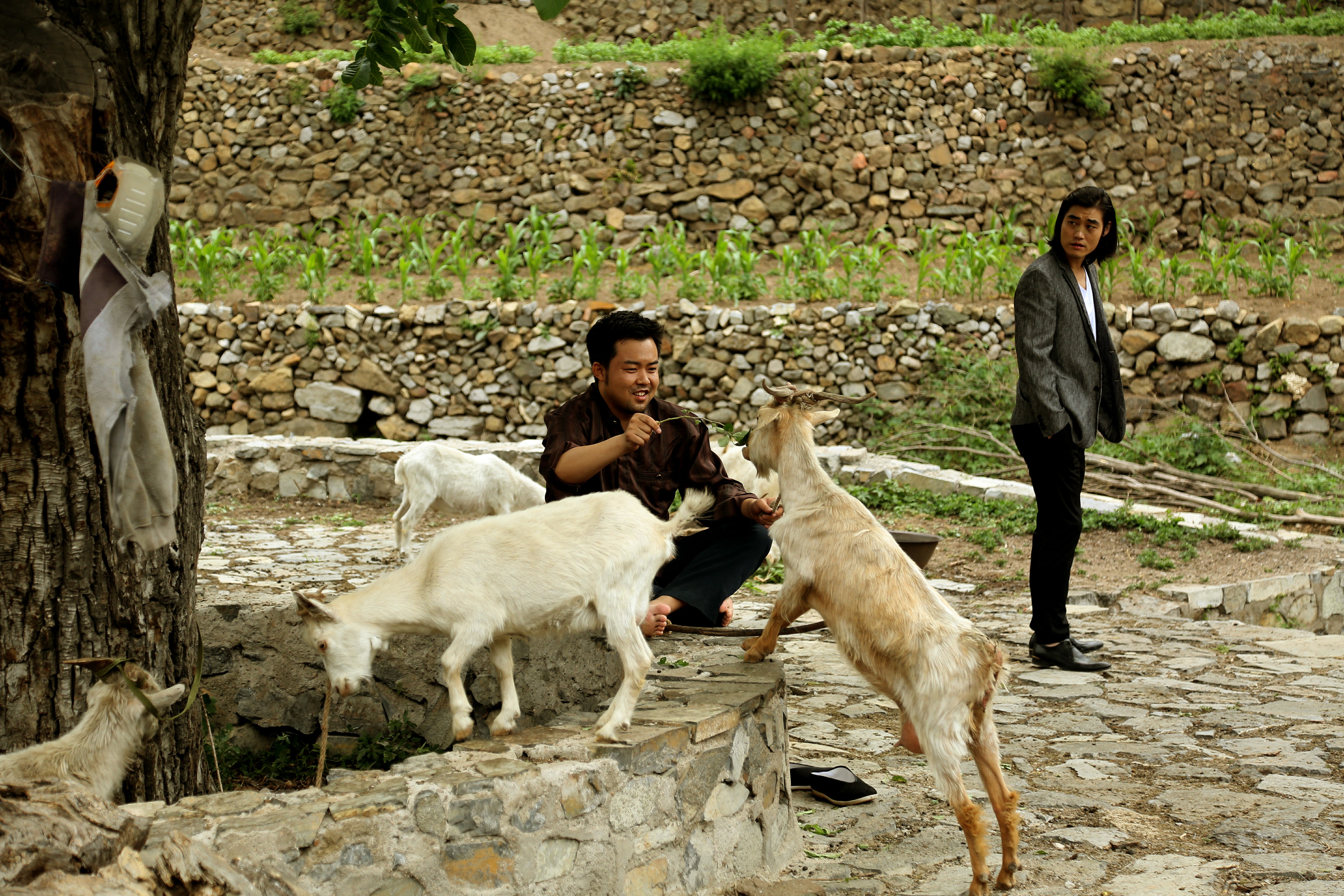 http://www.mshishang.net/pics/default/download/05f56c9494e705b6a6d353c50f4d6562.jpg
