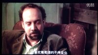 杯酒人生 其中最令人感动的话语