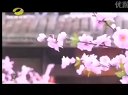 大丫鬟02集－萧清羽