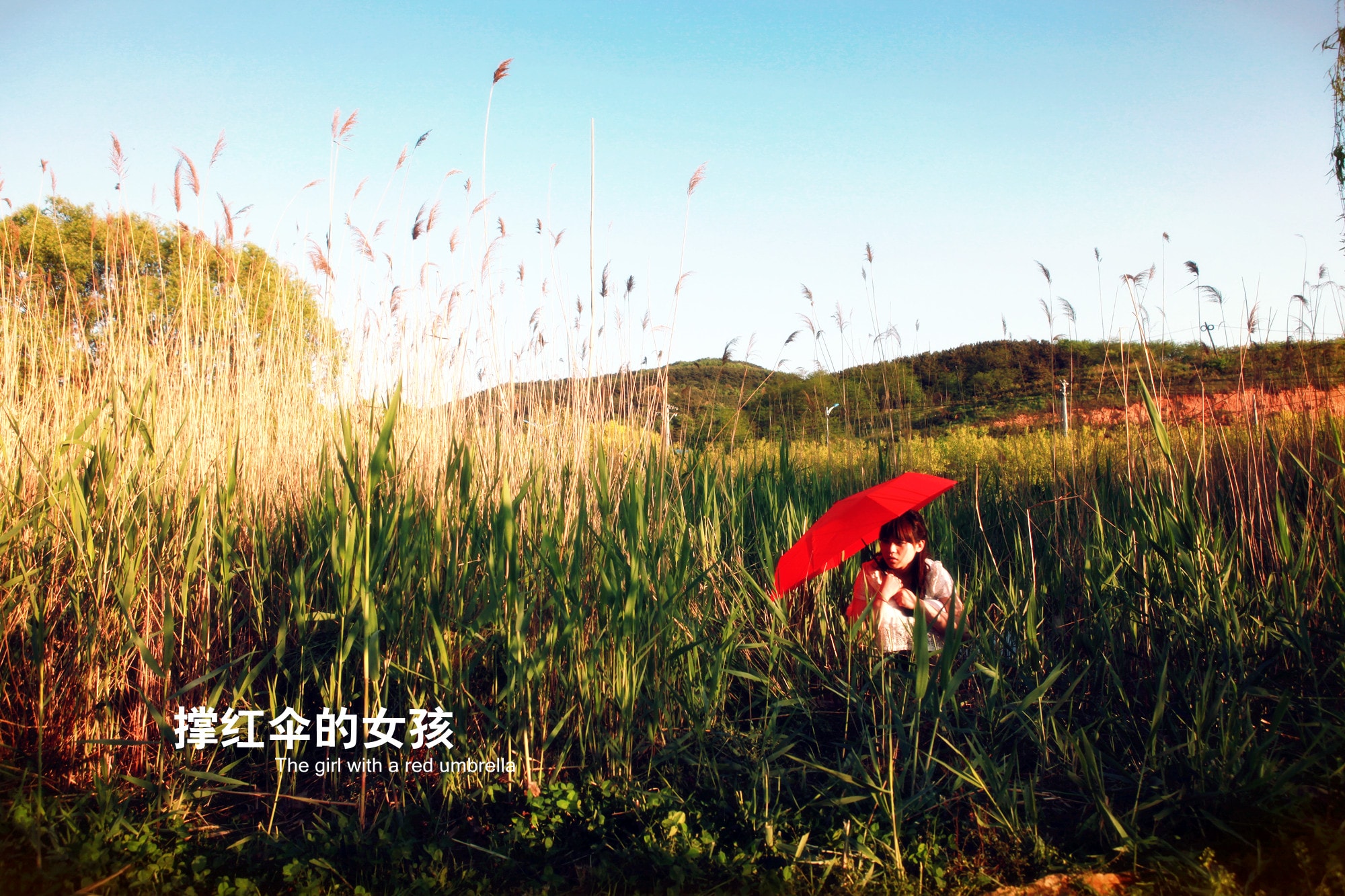 http://www.mshishang.net/pics/default/download/0aacc8967cbe49388a4bd7dbcc05ad11.jpg