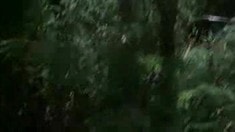 先行版预告片