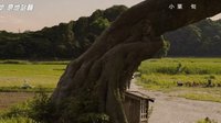 《足音 ~Be Strong》信长协奏曲主题曲-电影版-Mr.Children