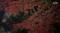 风斗士 - 修练