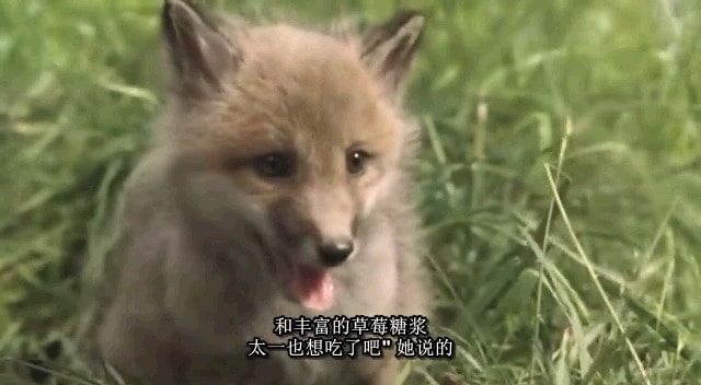 http://www.mshishang.net/pics/default/download/0e8170b982f8281be97330911507a269.jpg