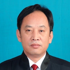 陈雪豹