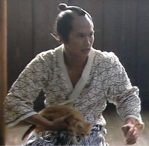 http://www.mshishang.net/pics/default/download/11825364675d5699a05b5faacbfe7162.jpg