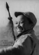 蔡元元