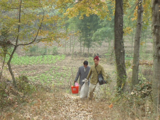 http://www.mshishang.net/pics/default/download/137fc2bac24d5b048387eaf320caf539.jpg