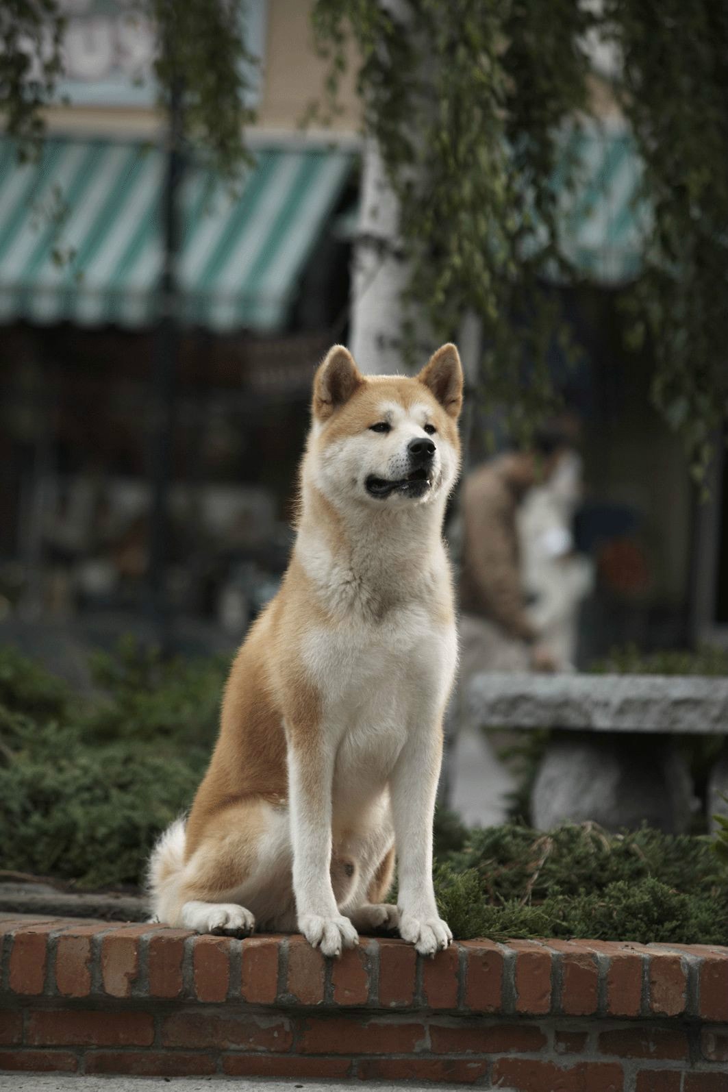 http://www.mshishang.net/pics/default/download/1409b5d56df771a5b962e3c5e159f17d.jpg
