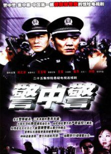 警中警