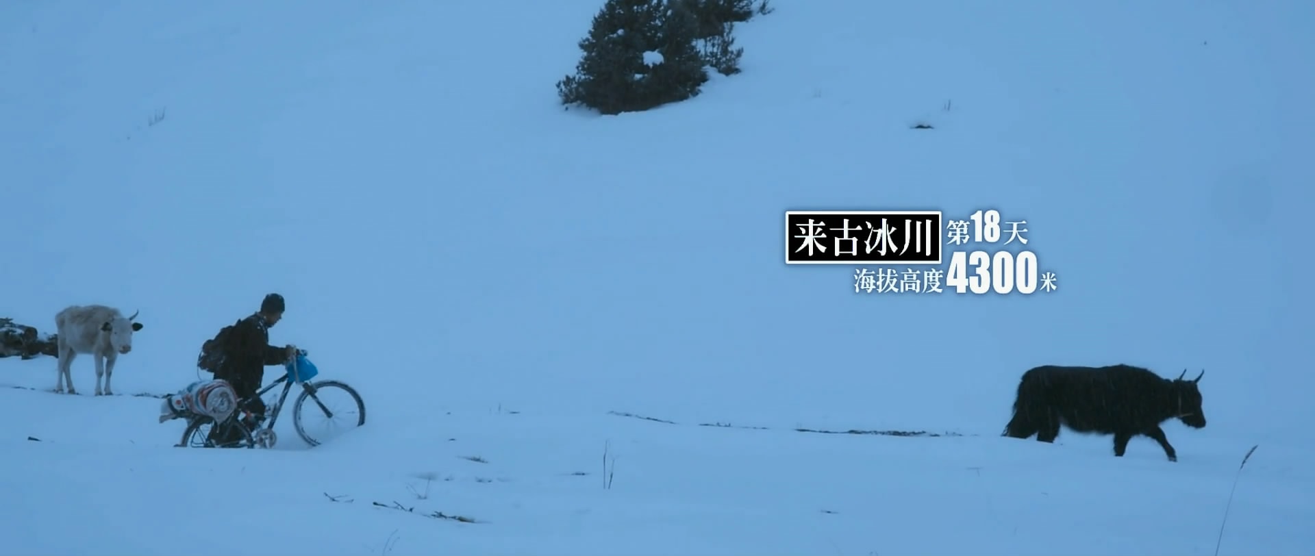 http://www.mshishang.net/pics/default/download/1541974da5eec554bcbf7a3a2085042f.jpg