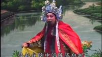 豫剧（岳飞●望黄河浪声高奔腾怒卷）贾廷聚★