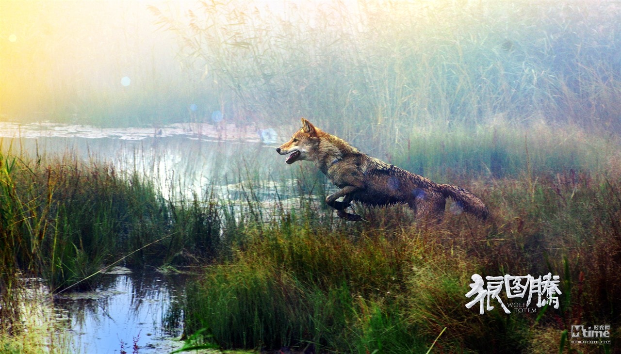 http://www.mshishang.net/pics/default/download/179c0dc88db63cdb4e8d5f3d0a0489d1.jpg