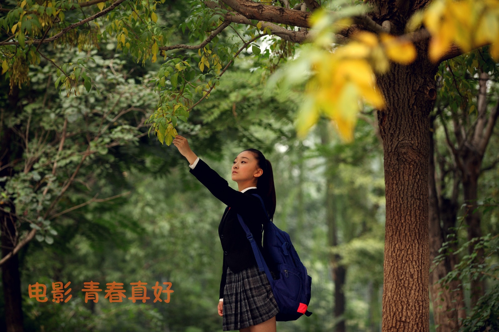 http://www.mshishang.net/pics/default/download/191b72c07e1a1da43f11f94e7eed35f6.jpg