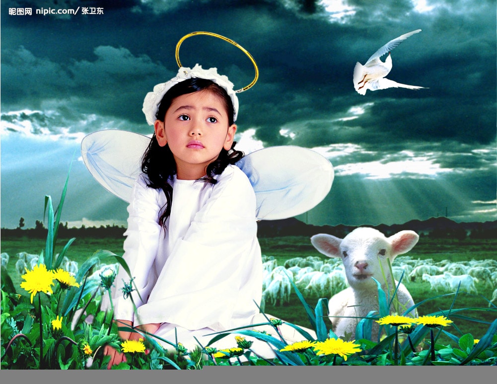 http://www.mshishang.net/pics/default/download/1988c10328c8ba13f0f36d3c4130161d.jpg