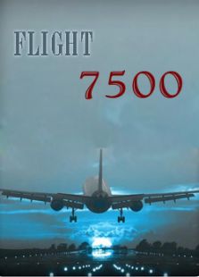 7500航班