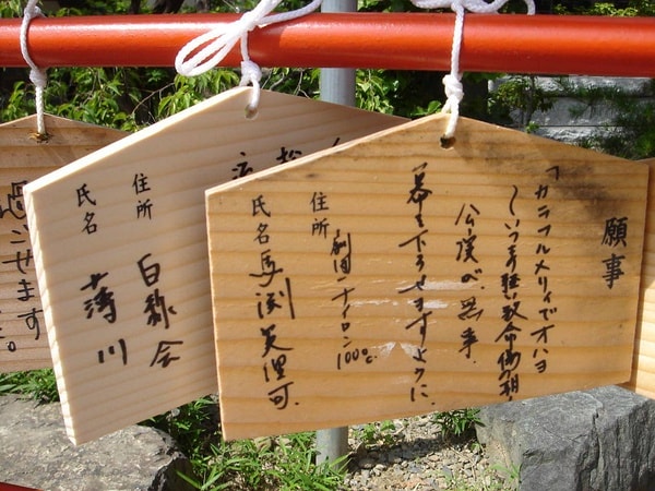 http://www.mshishang.net/pics/default/download/1a90492c72e205cb94d8cde5976432ca.jpg