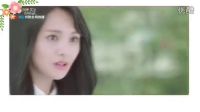 楊洋鄭爽FMV－絕不能失去你