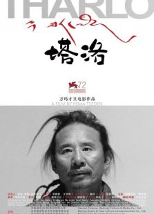 塔洛