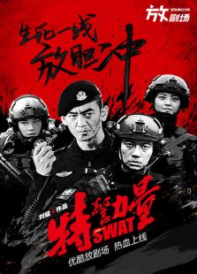 特警力量 DVD版