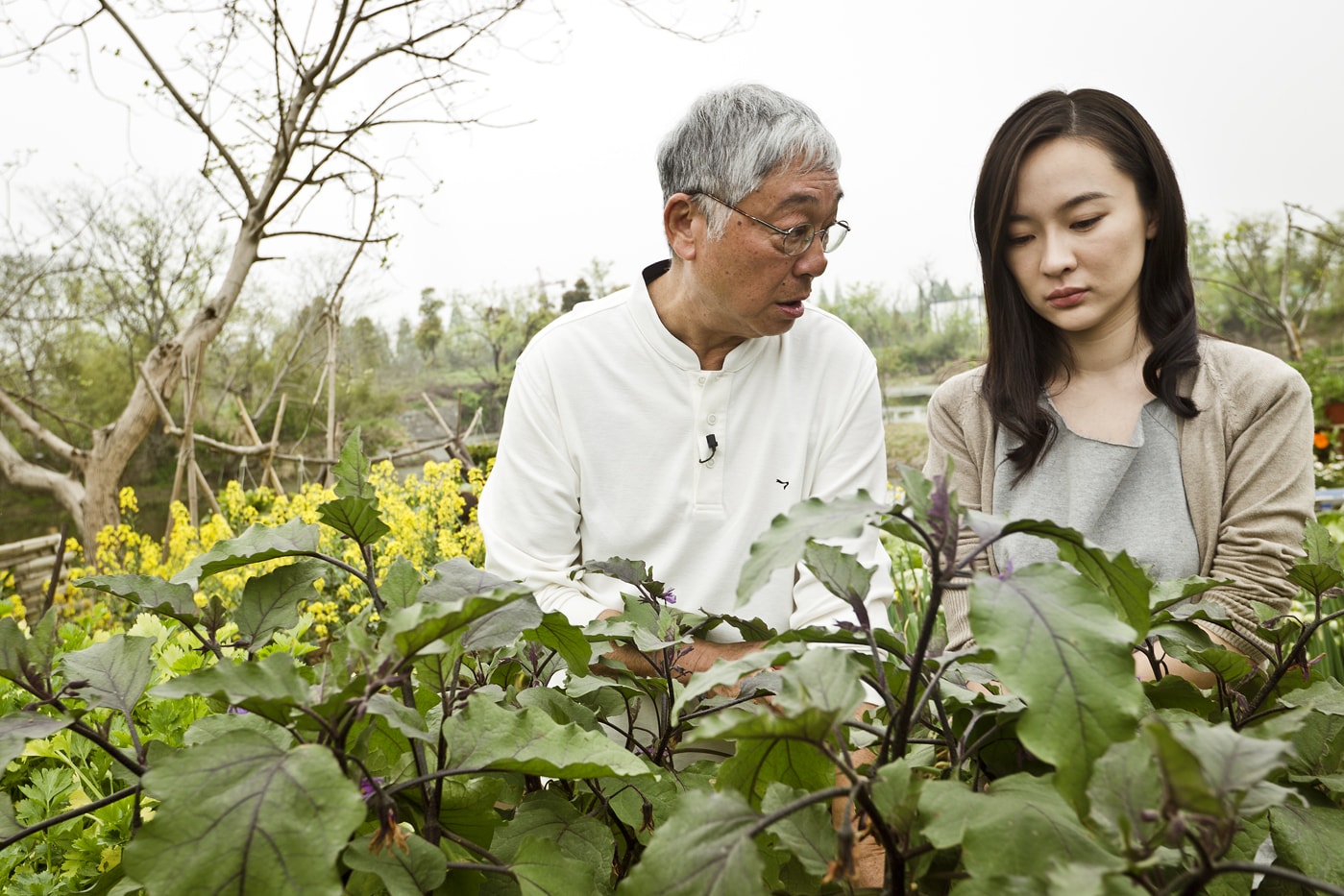 http://www.mshishang.net/pics/default/download/209b9319548e5041511823a7dc2d4bb4.jpg