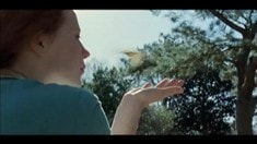 制作特辑之Cinematographer Emmanuel Lubezki