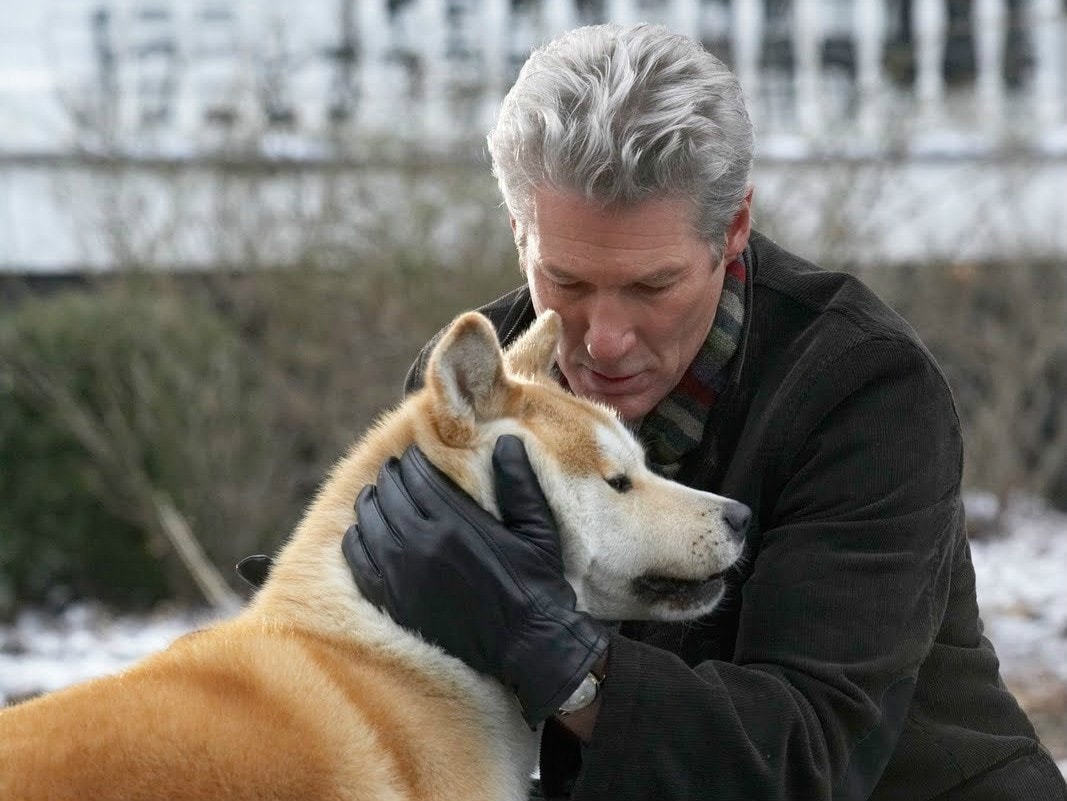 http://www.mshishang.net/pics/default/download/23ce987c4a49c10375d566ba7daf8f4b.jpg