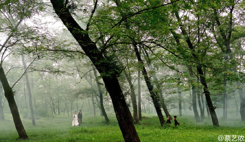 http://www.mshishang.net/pics/default/download/240a48e33e930c30c4a0a2ade73bb8ab.jpg
