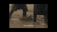 预告片2