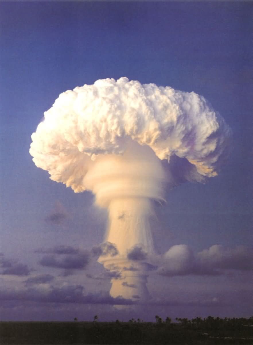 http://www.mshishang.net/pics/default/download/24babb800961c9e76c4fb97bdcd700f8.jpg