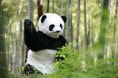 http://www.mshishang.net/pics/default/download/2509aa3812dd510aff0e1394eb3c7ba2.jpg
