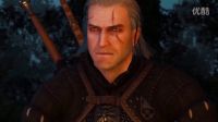 巫师3 The Witcher 3 不正确猎魔233