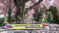 《爱丽丝2》德普胖安妮美 拔群视效难救稀烂剧情