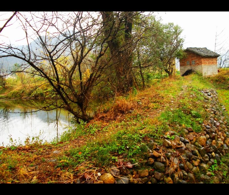 http://www.mshishang.net/pics/default/download/2aa741d83b22aa71234f7527c9490842.jpg