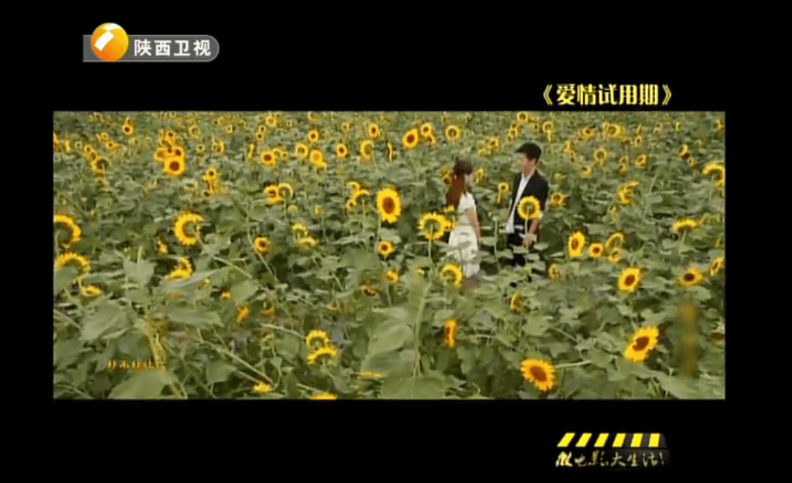 http://www.mshishang.net/pics/default/download/2badf0523b04609a31c513e1fd59db80.jpg