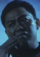 林岭南